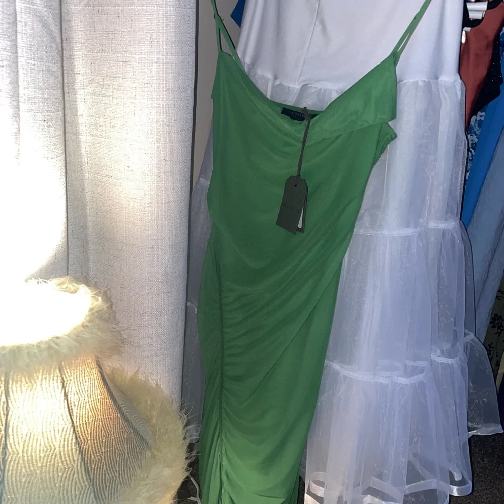 All saints Ulla mesh dress NWT Nordstrom - Picture 4 of 9